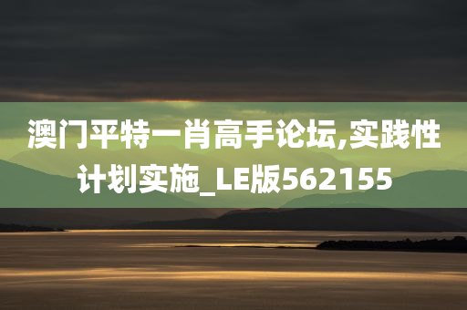 澳门平特一肖高手论坛,实践性计划实施_LE版562155