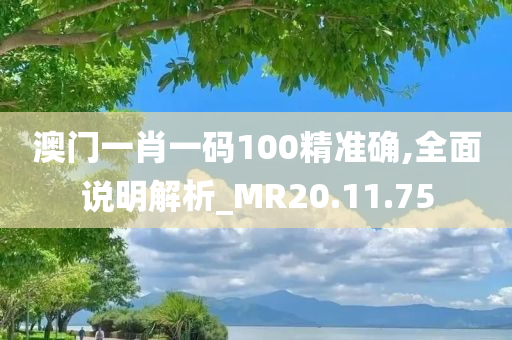 澳门一肖一码100精准确,全面说明解析_MR20.11.75