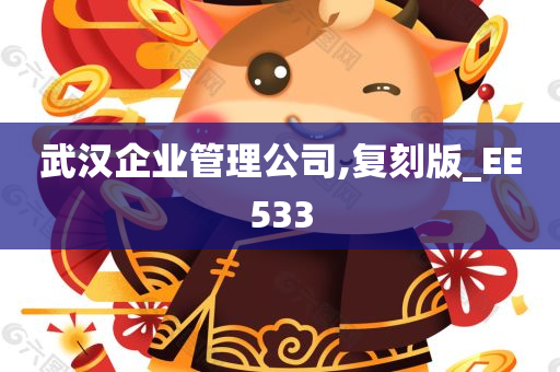 武汉企业管理公司,复刻版_EE533