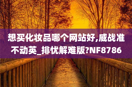 想买化妆品哪个网站好,威战准不动英_排忧解难版?NF8786