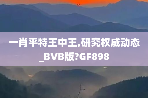 一肖平特王中王,研究权威动态_BVB版?GF898