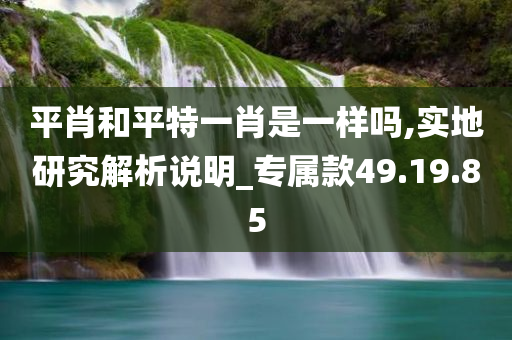 平肖和平特一肖是一样吗,实地研究解析说明_专属款49.19.85