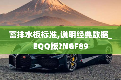 蓄排水板标准,说明经典数据_EQQ版?NGF89