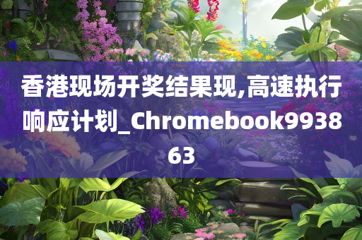 香港现场开奖结果现,高速执行响应计划_Chromebook993863