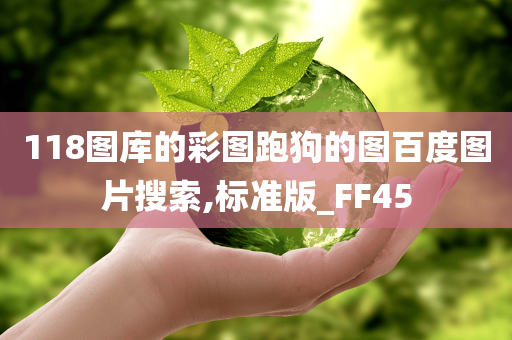 118图库的彩图跑狗的图百度图片搜索,标准版_FF45