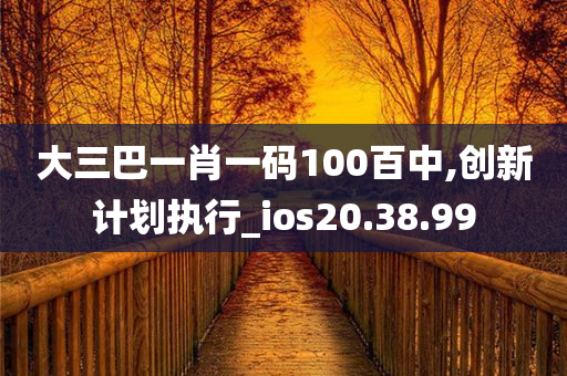 大三巴一肖一码100百中,创新计划执行_ios20.38.99