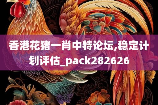 香港花猪一肖中特论坛,稳定计划评估_pack282626