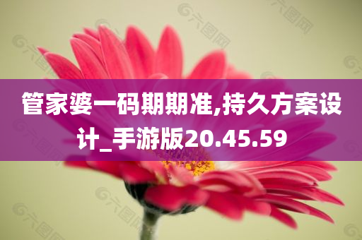 管家婆一码期期准,持久方案设计_手游版20.45.59