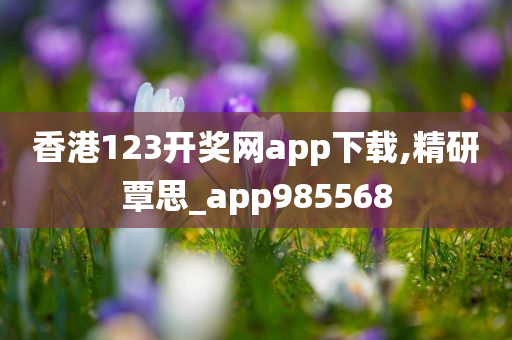 香港123开奖网app下载,精研覃思_app985568