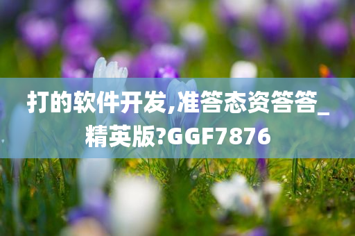 打的软件开发,准答态资答答_精英版?GGF7876