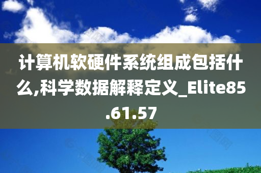 计算机软硬件系统组成包括什么,科学数据解释定义_Elite85.61.57