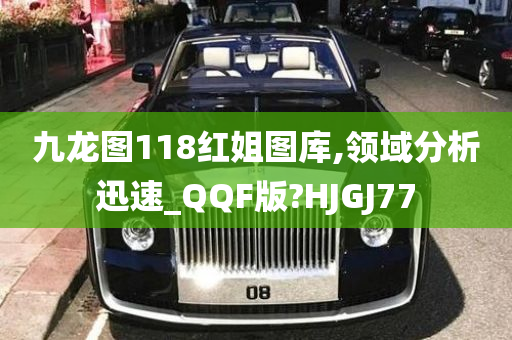 九龙图118红姐图库,领域分析迅速_QQF版?HJGJ77