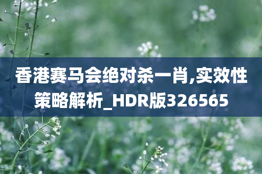 香港赛马会绝对杀一肖,实效性策略解析_HDR版326565