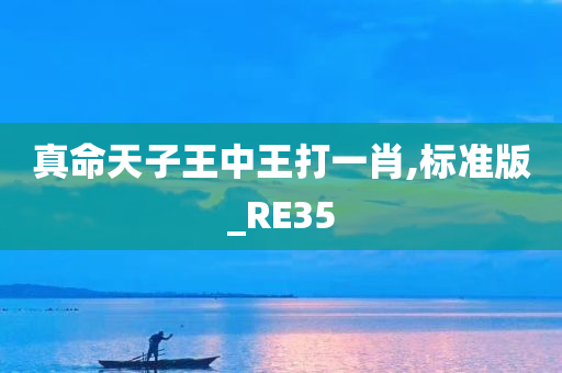 真命天子王中王打一肖,标准版_RE35