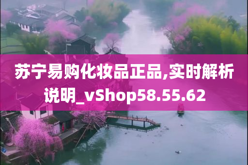 苏宁易购化妆品正品,实时解析说明_vShop58.55.62