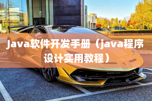 Java软件开发手册（java程序设计实用教程）