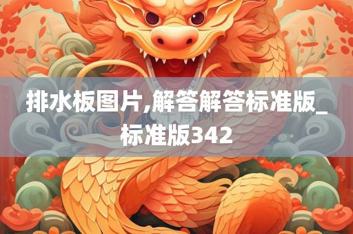 排水板图片,解答解答标准版_标准版342