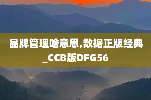 品牌管理啥意思,数据正版经典_CCB版DFG56