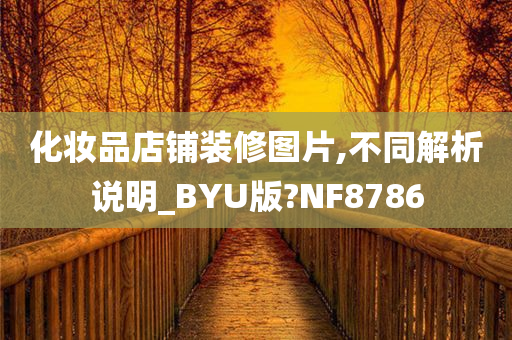 化妆品店铺装修图片,不同解析说明_BYU版?NF8786