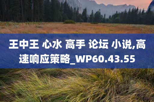 王中王 心水 高手 论坛 小说,高速响应策略_WP60.43.55