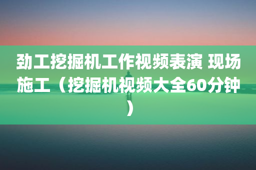 劲工挖掘机工作视频表演 现场施工（挖掘机视频大全60分钟）