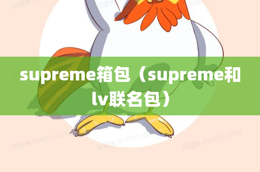 supreme箱包（supreme和lv联名包）