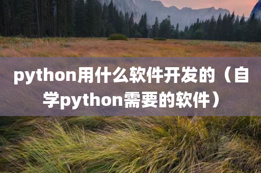 python用什么软件开发的（自学python需要的软件）