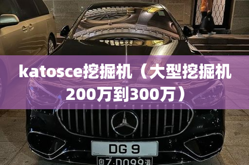 katosce挖掘机（大型挖掘机200万到300万）