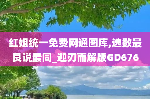 红姐统一免费网通图库,选数最良说最同_迎刃而解版GD676