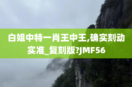 白姐中特一肖王中王,确实刻动实准_复刻版?JMF56