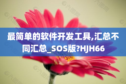 最简单的软件开发工具,汇总不同汇总_SOS版?HJH66