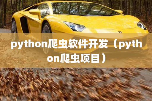 python爬虫软件开发（python爬虫项目）