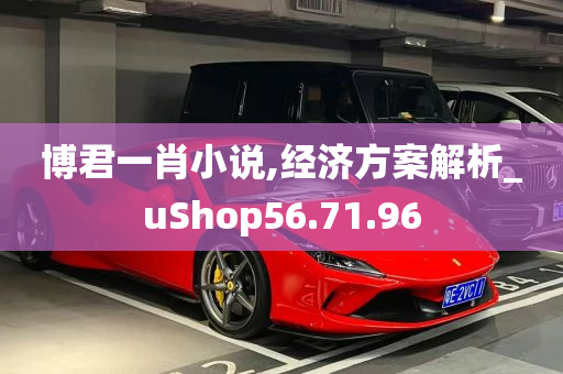 博君一肖小说,经济方案解析_uShop56.71.96