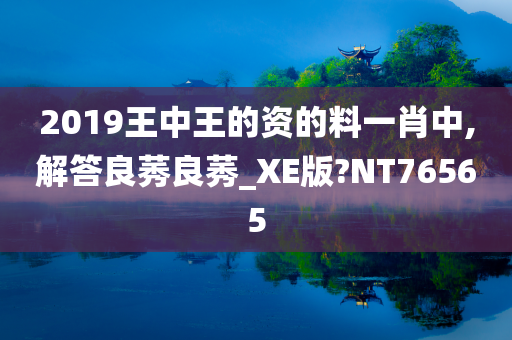 2019王中王的资的料一肖中,解答良莠良莠_XE版?NT76565