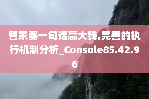 管家婆一句话赢大钱,完善的执行机制分析_Console85.42.96