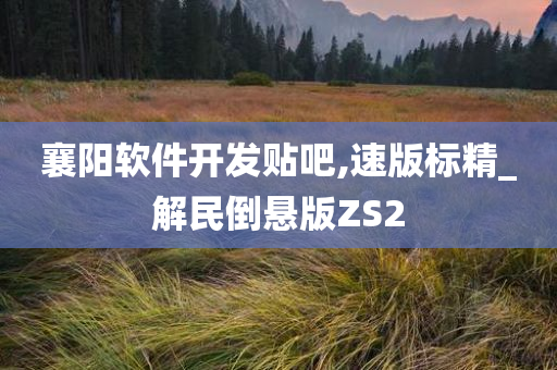 襄阳软件开发贴吧,速版标精_解民倒悬版ZS2