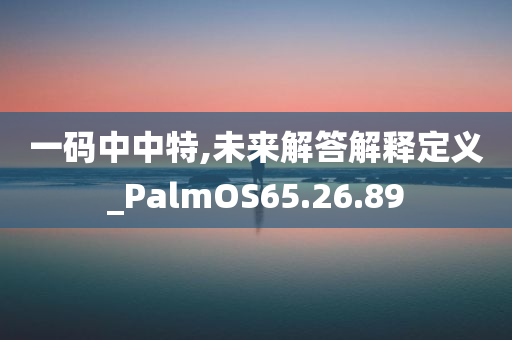 一码中中特,未来解答解释定义_PalmOS65.26.89