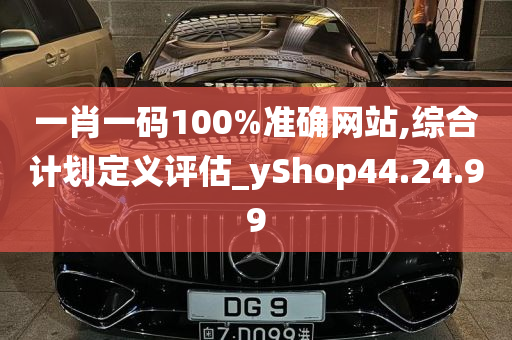 一肖一码100%准确网站,综合计划定义评估_yShop44.24.99