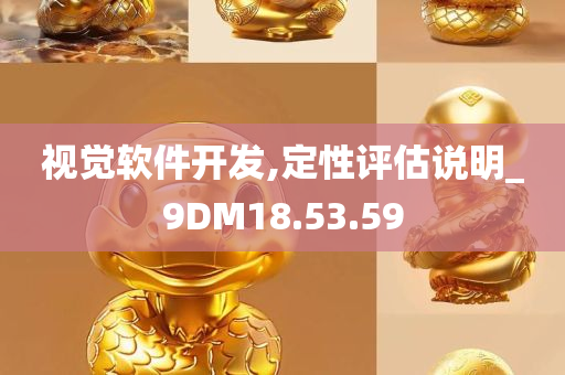 视觉软件开发,定性评估说明_9DM18.53.59