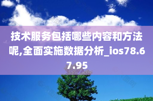 技术服务包括哪些内容和方法呢,全面实施数据分析_ios78.67.95