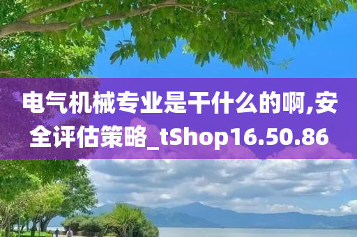 电气机械专业是干什么的啊,安全评估策略_tShop16.50.86