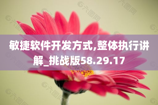 敏捷软件开发方式,整体执行讲解_挑战版58.29.17