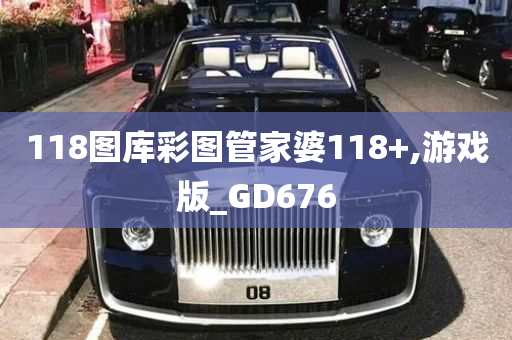 118图库彩图管家婆118+,游戏版_GD676