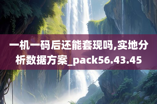 一机一码后还能套现吗,实地分析数据方案_pack56.43.45