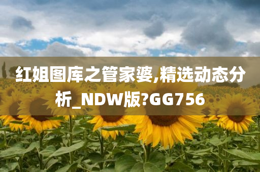 红姐图库之管家婆,精选动态分析_NDW版?GG756