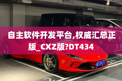 自主软件开发平台,权威汇总正版_CXZ版?DT434