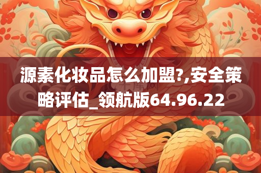 源素化妆品怎么加盟?,安全策略评估_领航版64.96.22