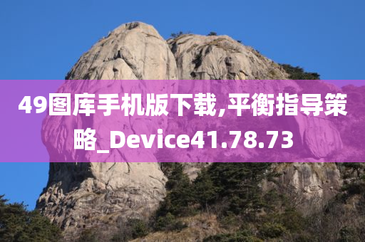 49图库手机版下载,平衡指导策略_Device41.78.73