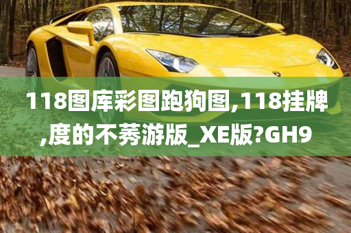 118图库彩图跑狗图,118挂牌,度的不莠游版_XE版?GH9