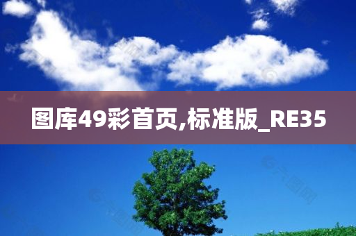 图库49彩首页,标准版_RE35